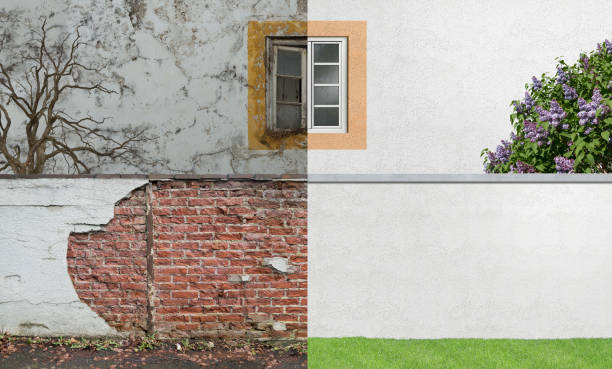 Best Real Estate Mold Inspection  in Rosenberg, TX