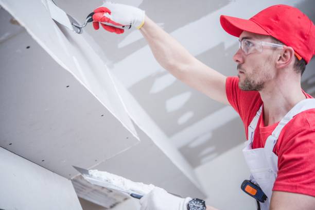 Best Forensic Mold Investigation  in Rosenberg, TX